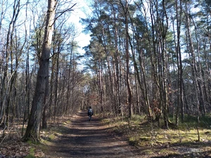 Streek-GR Limburgse Mijnen entre le parking Salamandre et la gare d'Eisden