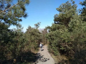 Streek-GR Limburgse Mijnen entre le Lange Terril et les Tweelingterril