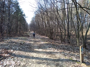 Streek-GR Limburgse Mijnen entre les Tweelingterril et le Mechelse Heide