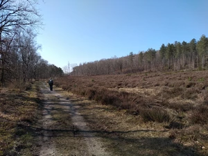 Streek-GR Limburgse Mijnen entre les Tweelingterril et le Mechelse Heide
