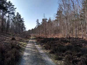 Streek-GR Limburgse Mijnen entre les Tweelingterril et le Mechelse Heide