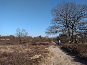 Streek-GR Limburgse Mijnen dans la réserve Mechelse Heide