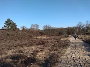 Streek-GR Limburgse Mijnen dans la réserve Mechelse Heide