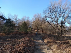 Streek-GR Limburgse Mijnen entre la réserve Mechelse Heide et le parking Salamandre