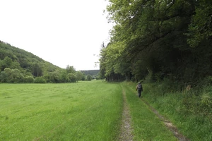 Sentier du Nord entre Pintsch et Lellingen
