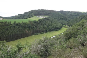 Sentier du Nord entre Goebelsmühle et Lipperscheid
