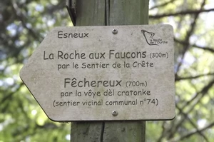 GR 57 : La Roche aux Faucons, sentier de la crête