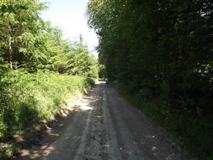 GR 57 entre Buret et Liherin