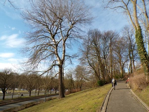 Woluwe, parc Parmentier