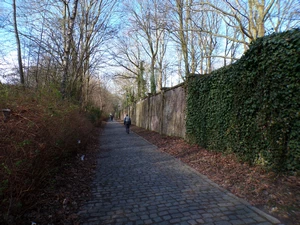 Evere, rue de l'Arbre Unique