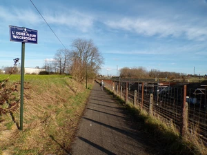 Bruxelles, rue de l’Osier fleuri