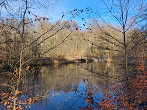 Forêt de Soignes, étang du Fer à cheval