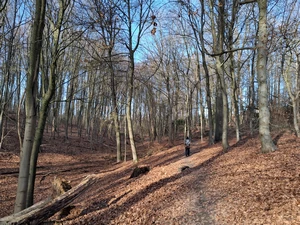 Uccle, bois de Verrewinkel