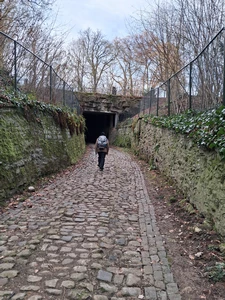 Boitsfort, chemin des Silex