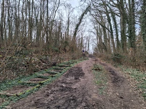 Uccle, plateau Engeland