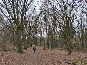 Uccle, plateau Engeland