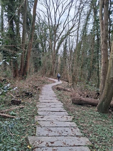 Uccle, réserve du Kriekenput