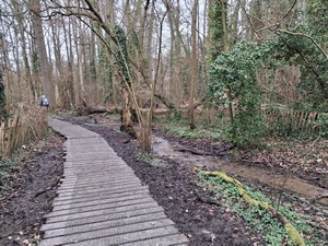 Uccle, réserve du Kinsendael