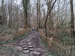 Uccle, réserve du Kinsendael