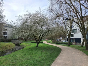Uccle, plaine du Bourdon