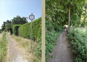 GRP 127 entre Virginal et Fauquez