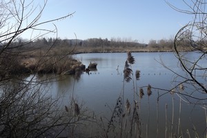 GRP 127 : étang de Pécrot