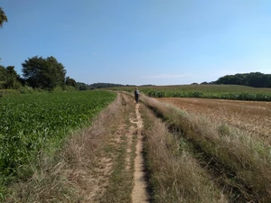 Wavre, chemin de la Justice