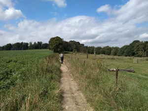 Rixensart, sentier du Plagniau
