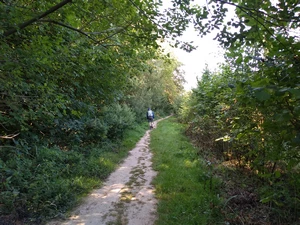 La Hulpe, sentier Pierre Louis - Mazerine
