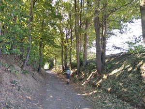 Ohain, chemin des Champs