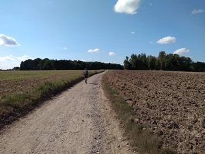 Ohain, chemin des Champs