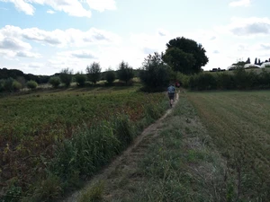 Ohain, chemin des Chasseurs